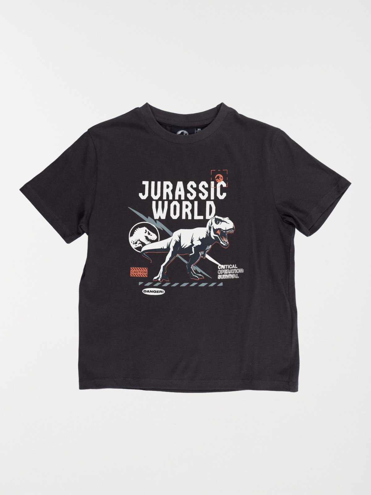 Tee-shirt garçon Jurassic World (5-12A) Tee-shirt garçon Jurassic World (5-12A)