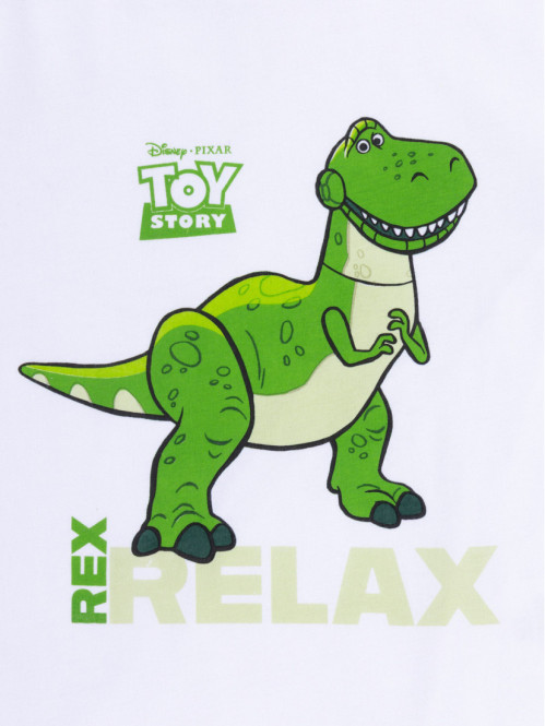 T-shirt garçon TOY STORY...