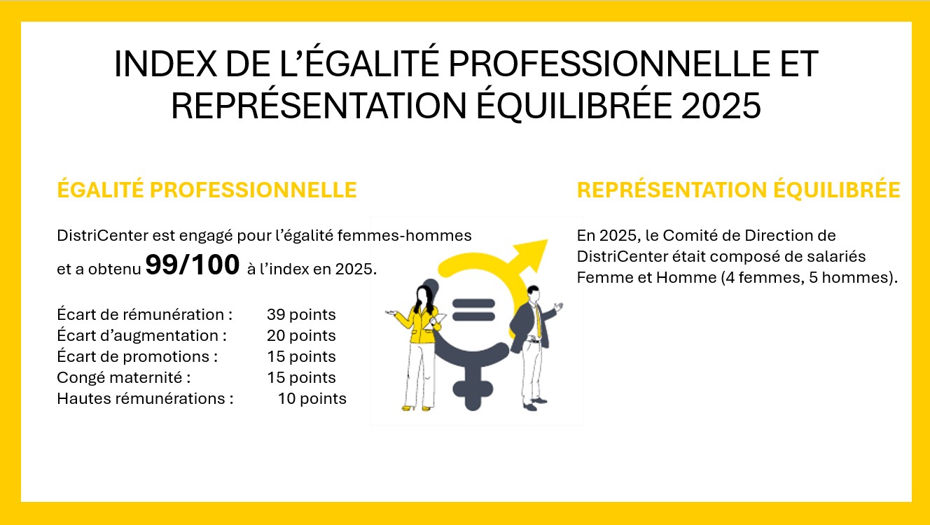 Index de parité professionnelle